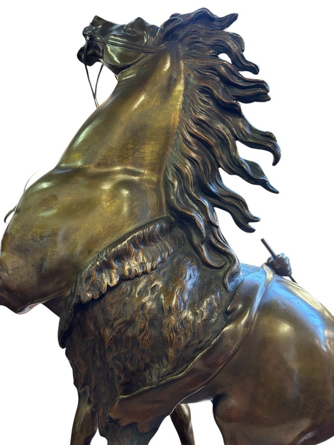 Bronze sculpture by Guillaume Coustou ‘Le cheval de Marly’ (1677 - 1746) Decorative sculpture from the 19th century Dimensions : Height : 58 cm Width : 49 cm Depth : 24 cm In good condition