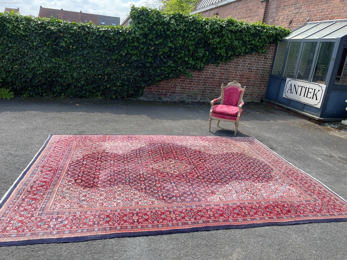 Large carpet Senneh in wool , Iran, 20th century ( 271 x 382 cm ). Persish Carpet with beautiful colours in very good condition. Dimensions : Width : 271 cm Length : 382 cm