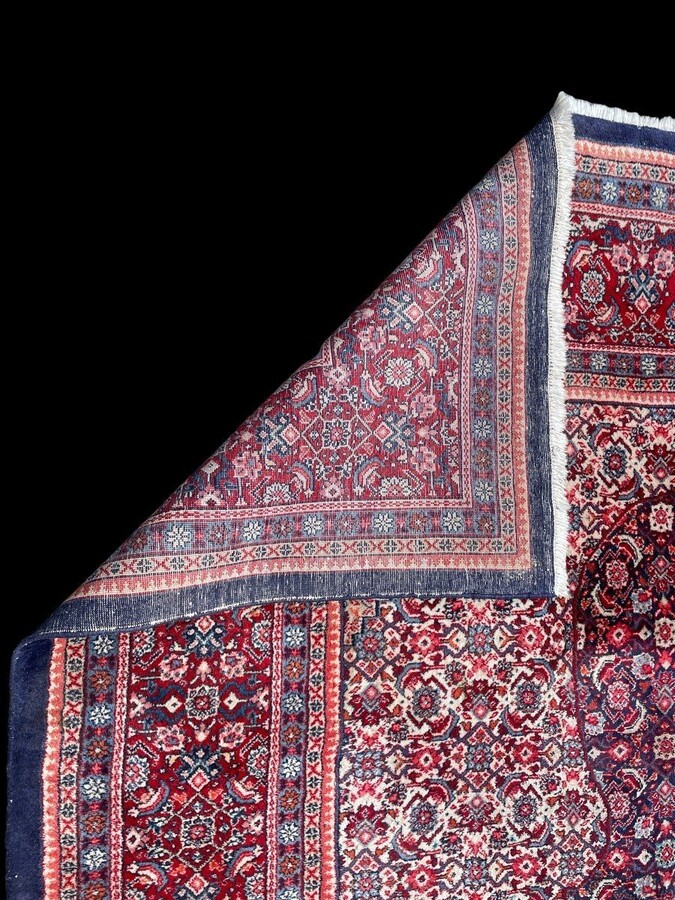 Large carpet Senneh in wool , Iran, 20th century ( 271 x 382 cm ). Persish Carpet with beautiful colours in very good condition. Dimensions : Width : 271 cm Length : 382 cm