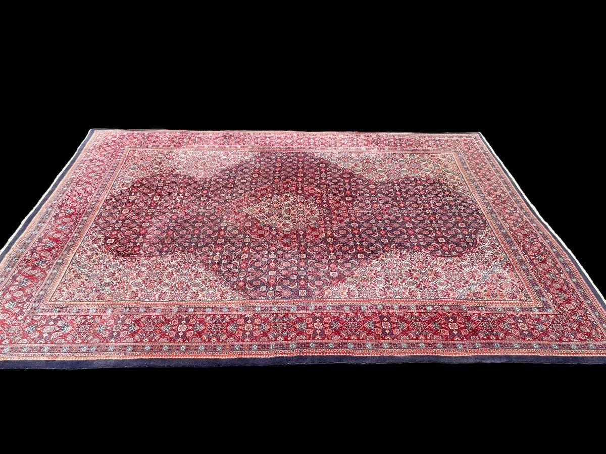 Large carpet Senneh in wool , Iran, 20th century ( 271 x 382 cm ). Persish Carpet with beautiful colours in very good condition. Dimensions : Width : 271 cm Length : 382 cm