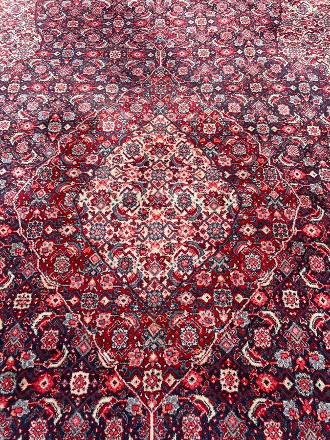 Large carpet Senneh in wool , Iran, 20th century ( 271 x 382 cm ). Persish Carpet with beautiful colours in very good condition. Dimensions : Width : 271 cm Length : 382 cm