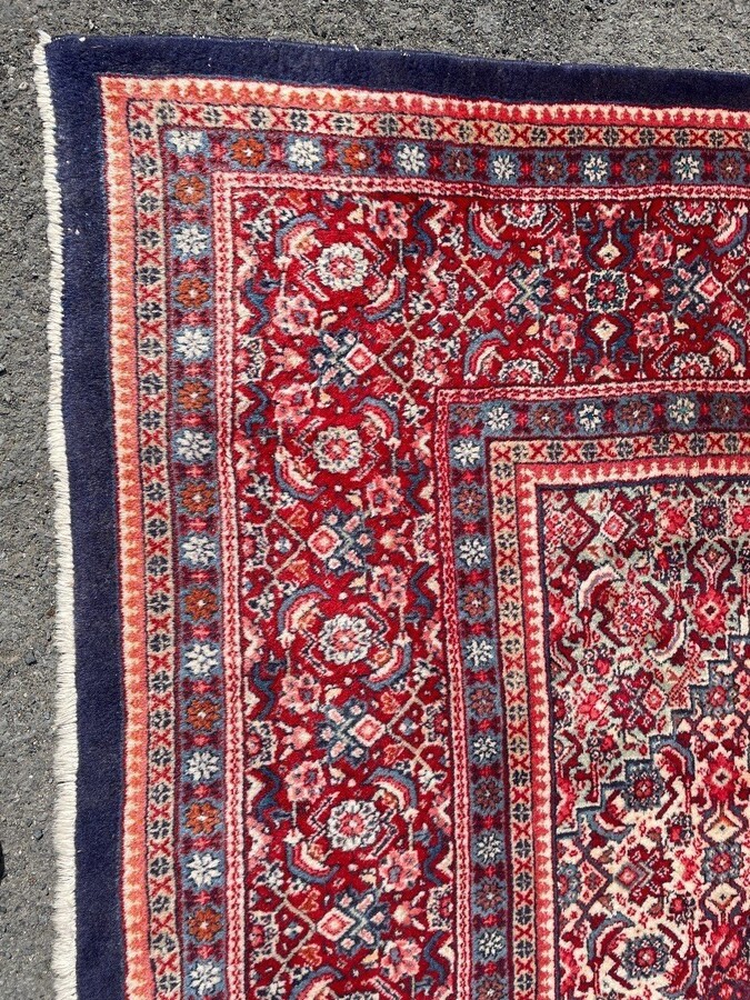 Large carpet Senneh in wool , Iran, 20th century ( 271 x 382 cm ). Persish Carpet with beautiful colours in very good condition. Dimensions : Width : 271 cm Length : 382 cm