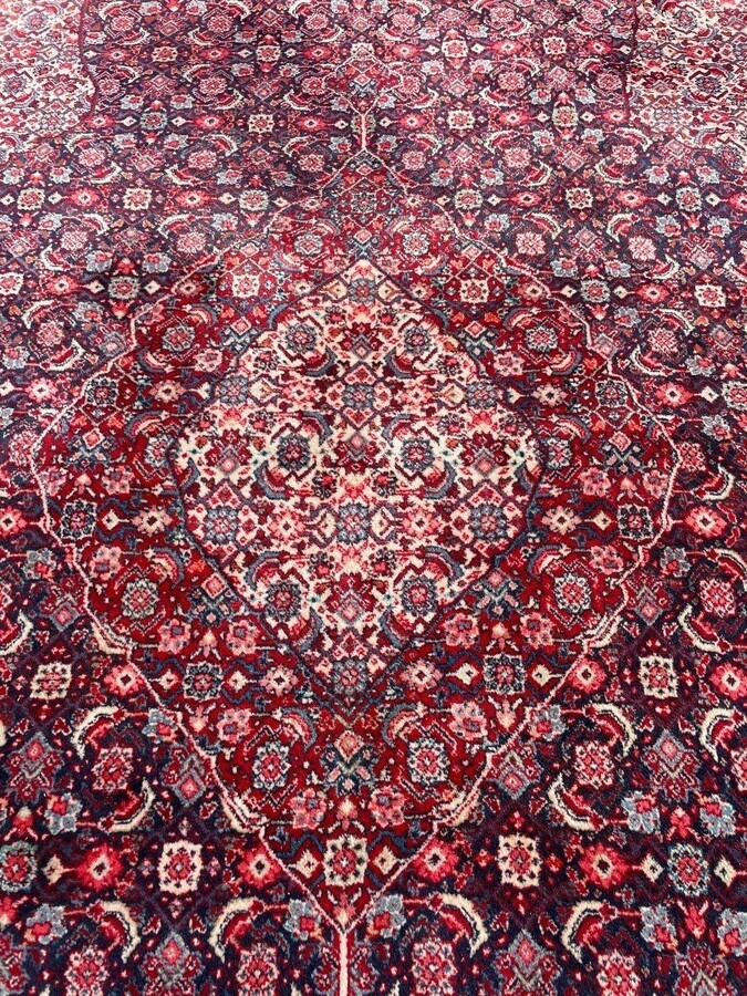 Large carpet Senneh in wool , Iran, 20th century ( 271 x 382 cm ). Persish Carpet with beautiful colours in very good condition. Dimensions : Width : 271 cm Length : 382 cm