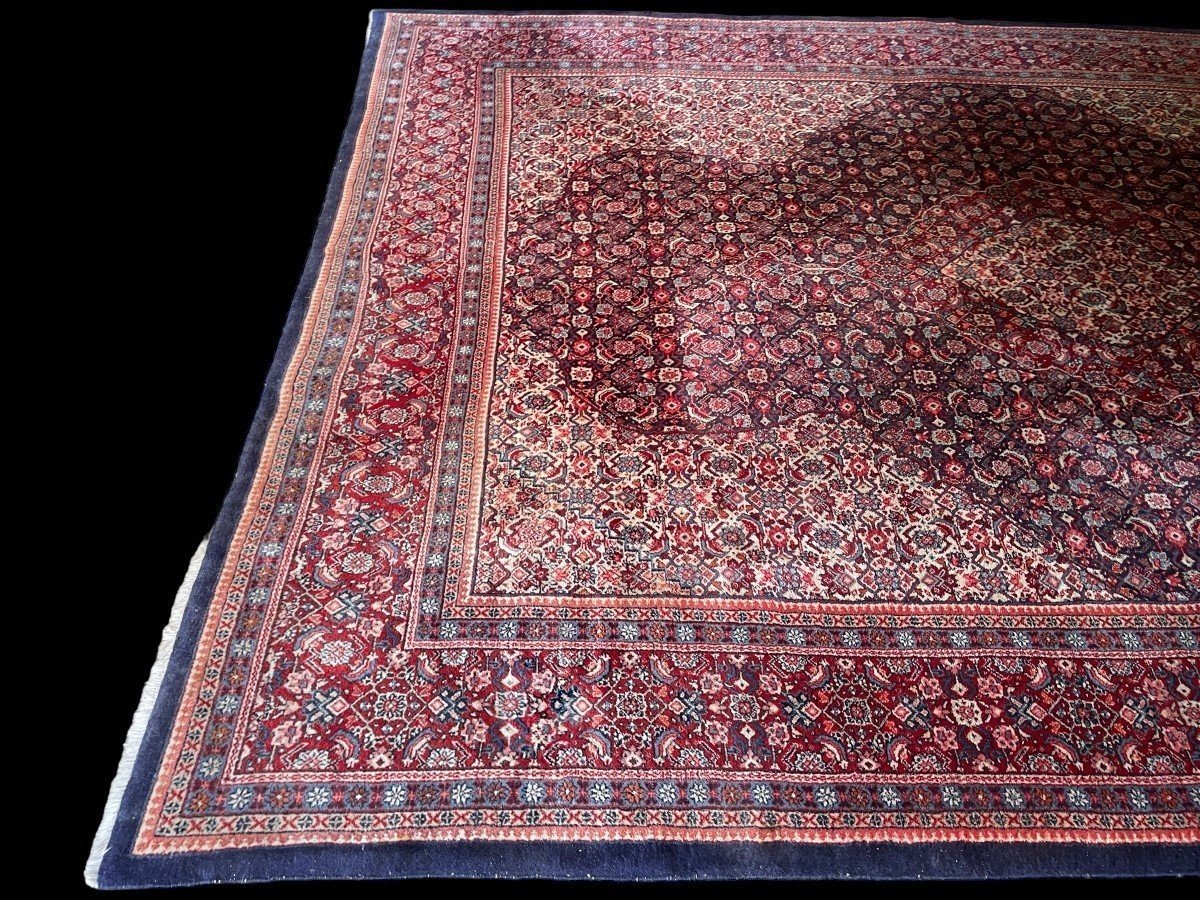 Large carpet Senneh in wool , Iran, 20th century ( 271 x 382 cm ). Persish Carpet with beautiful colours in very good condition. Dimensions : Width : 271 cm Length : 382 cm