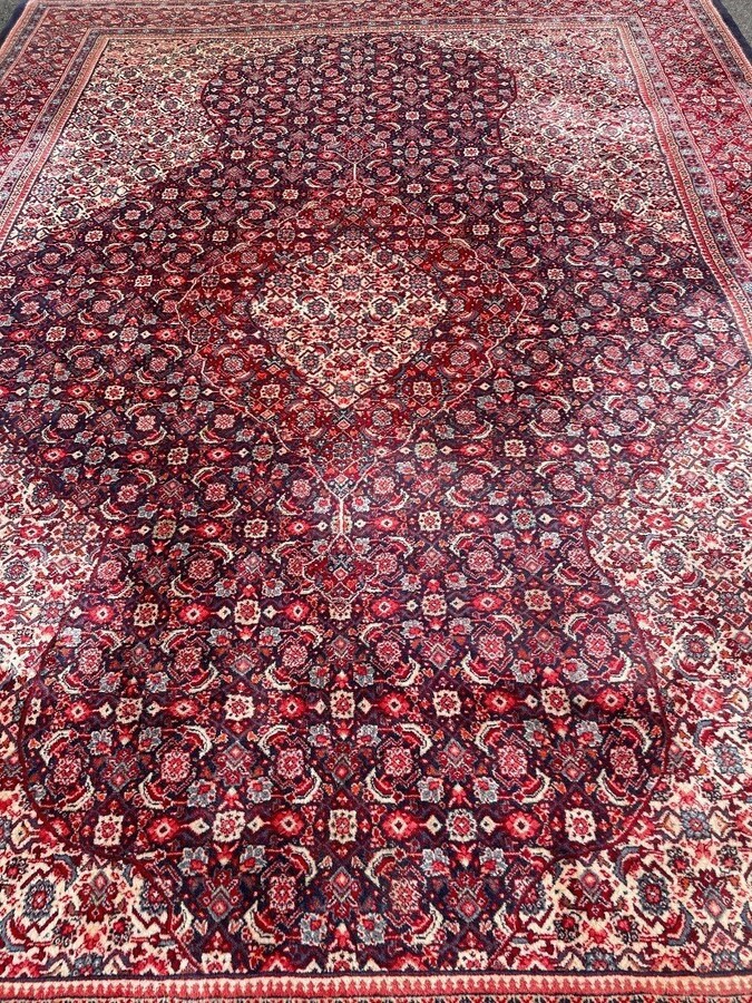 Large carpet Senneh in wool , Iran, 20th century ( 271 x 382 cm ). Persish Carpet with beautiful colours in very good condition. Dimensions : Width : 271 cm Length : 382 cm