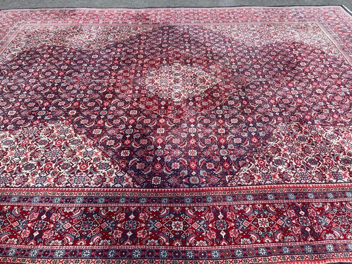 Large carpet Senneh in wool , Iran, 20th century ( 271 x 382 cm ). Persish Carpet with beautiful colours in very good condition. Dimensions : Width : 271 cm Length : 382 cm