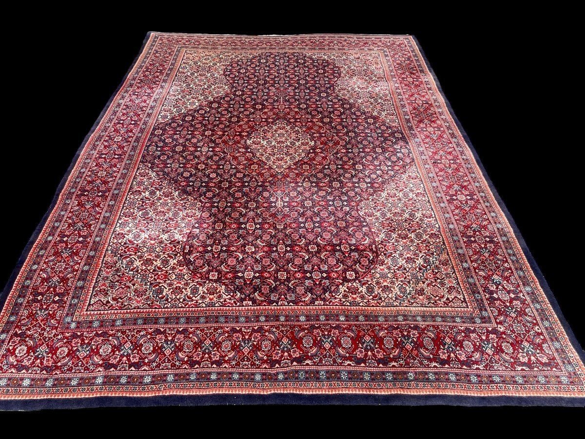 Large carpet Senneh in wool , Iran, 20th century ( 271 x 382 cm ). Persish Carpet with beautiful colours in very good condition. Dimensions : Width : 271 cm Length : 382 cm