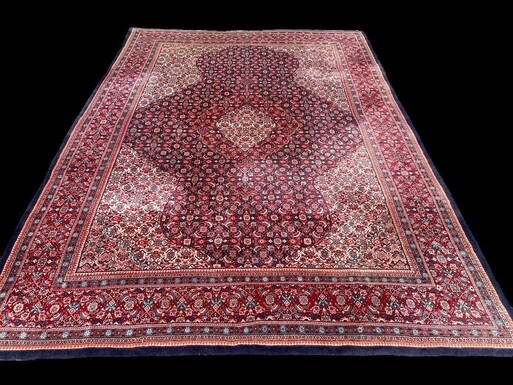 Large carpet Senneh in wool , Iran, 20th century ( 271 x 382 cm ). Persish Carpet with beautiful colours in very good condition. Dimensions : Width : 271 cm Length : 382 cm