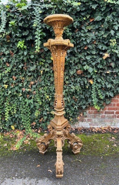 Large Torchère style Regence in gilt wood 19th century. Decorative torchère with openwork stem , decorated with ornaments , scrolls and tassels standing on 3 large scrolled legs. Dimensions : Height : 166 cm Width : 62 cm Depth : 56 cm 