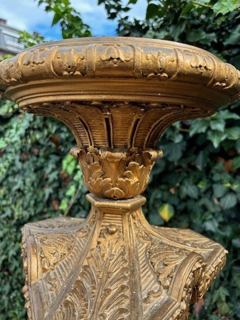 Large Torchère style Regence in gilt wood 19th century. Decorative torchère with openwork stem , decorated with ornaments , scrolls and tassels standing on 3 large scrolled legs. Dimensions : Height : 166 cm Width : 62 cm Depth : 56 cm 