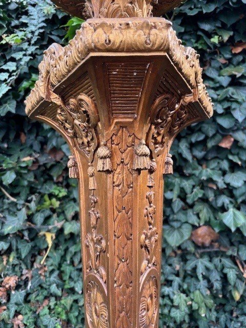 Large Torchère style Regence in gilt wood 19th century. Decorative torchère with openwork stem , decorated with ornaments , scrolls and tassels standing on 3 large scrolled legs. Dimensions : Height : 166 cm Width : 62 cm Depth : 56 cm