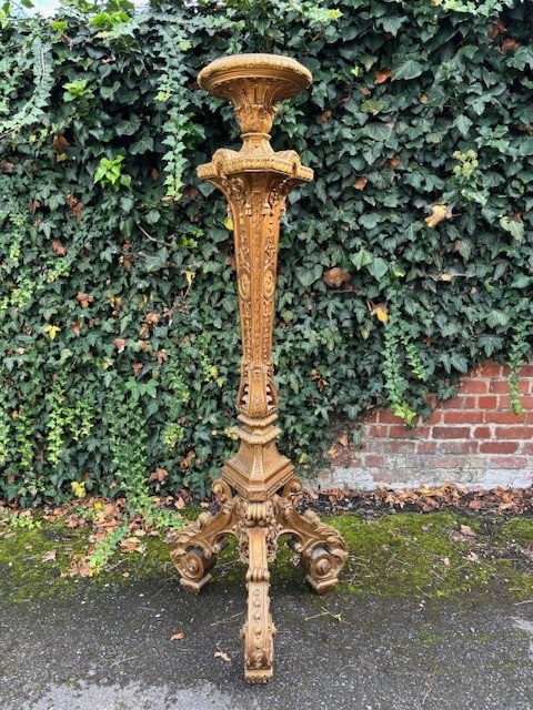 Large Torchère style Regence in gilt wood 19th century. Decorative torchère with openwork stem , decorated with ornaments , scrolls and tassels standing on 3 large scrolled legs.  Dimensions : Height : 166 cm Width : 62 cm Depth : 56 cm Torchère in good c